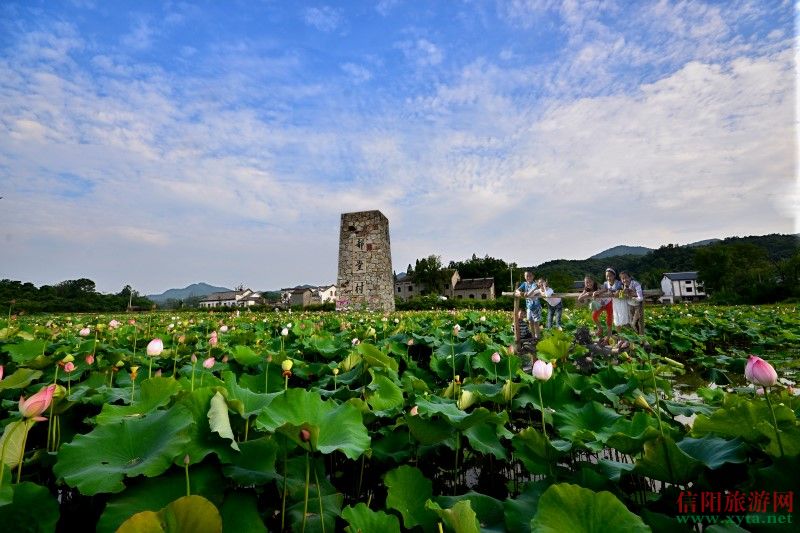 信阳:以全域旅游引领生态发展之路