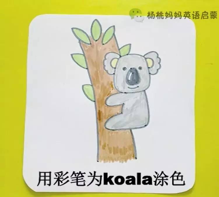 英語萌萌畫 | 考拉koala