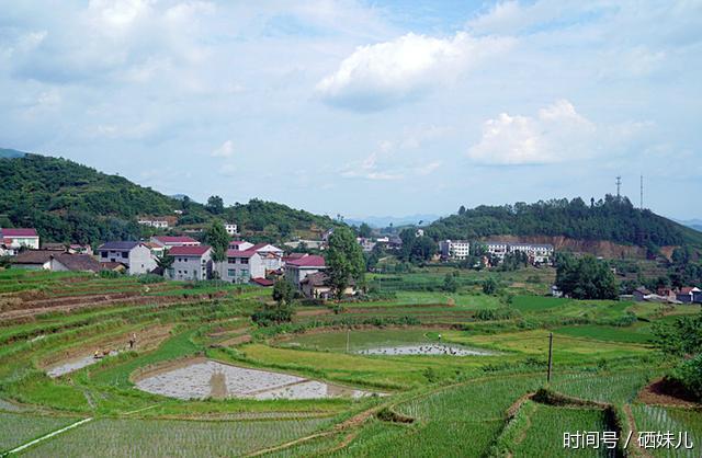 富硒集市鳳堰梯田美太行古茶香安康漢陰縣開啟旅遊脫貧新模式