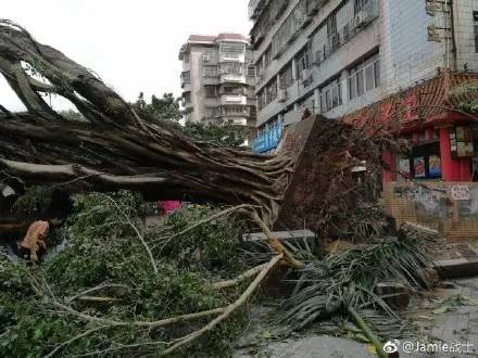 台风"天鸽"刚走,又有新台风将生成!珠海再次进入倒计时