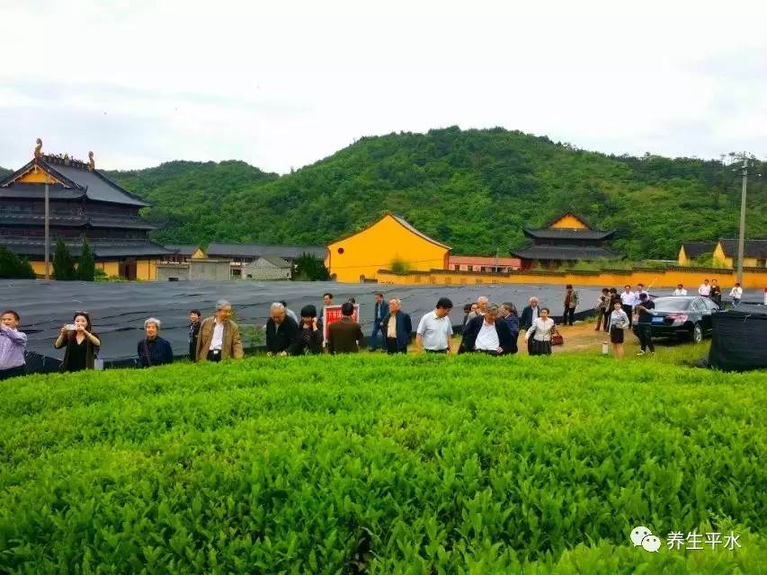 邹城平阳寺图片