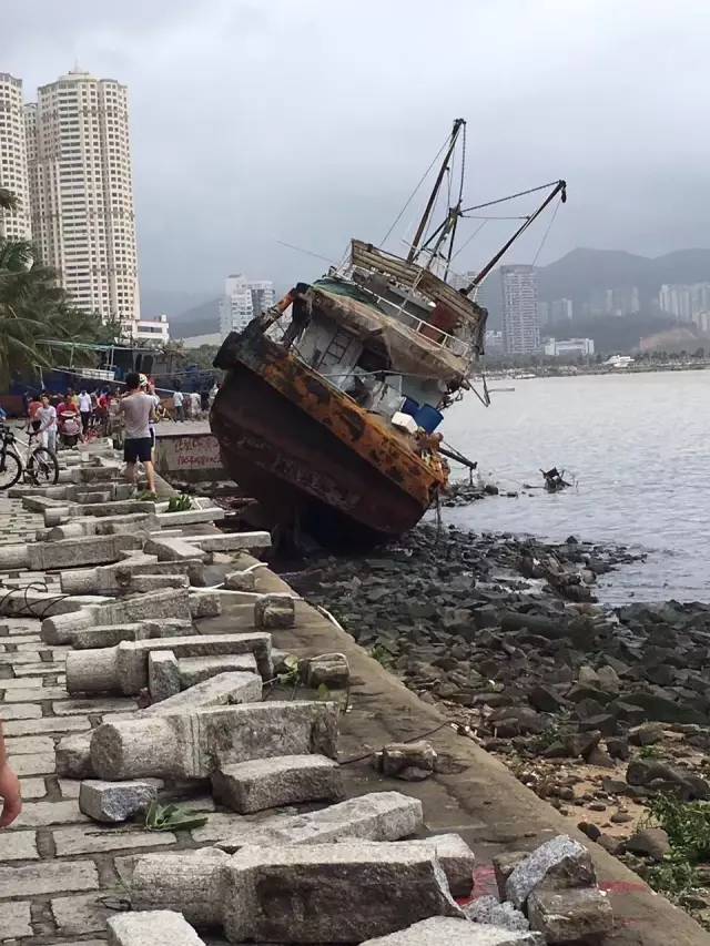 珠海台风天鸽图片