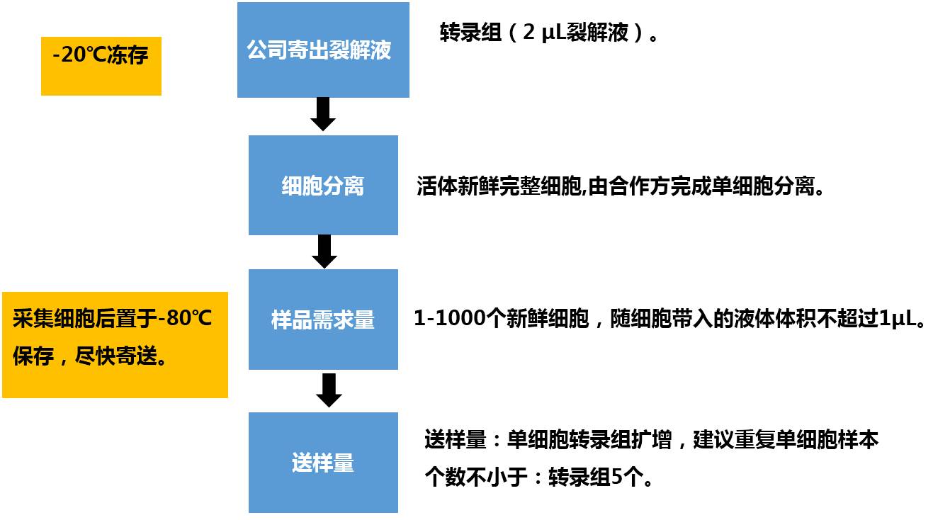 单细胞测序流程图片