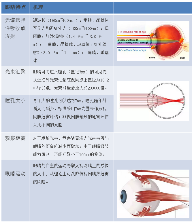 对不同波长的激光吸收特性不同,危害的程度与辐射功率大小,瞳孔大小