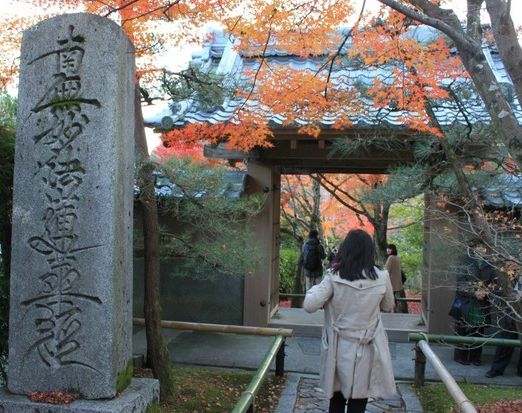 日本芝麻旅游 光悦寺