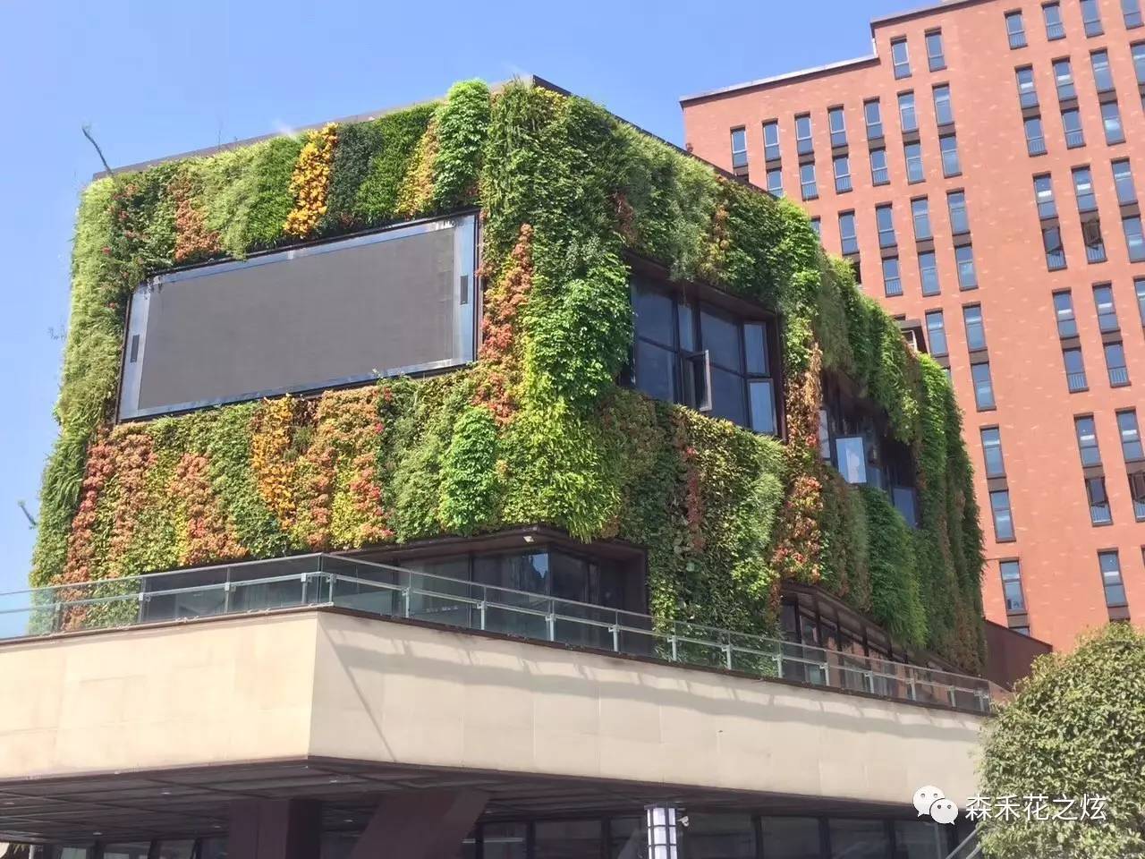 植物牆城市景觀的魔術師