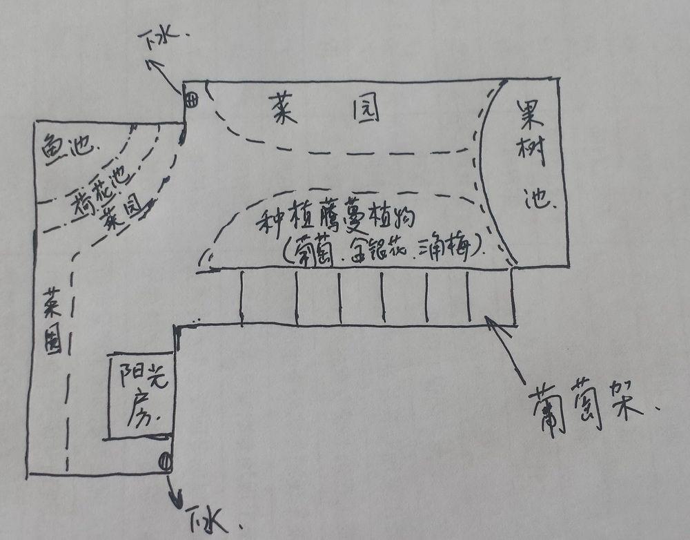 赶紧把旧房子那边屋顶的桃树,葡萄苗移栽过来,自己又买了40株辣椒,20