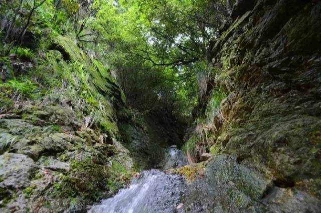 博盛生態園龍山國家森林公園此處應有掌聲七夕情人家就要到了送啥都沒