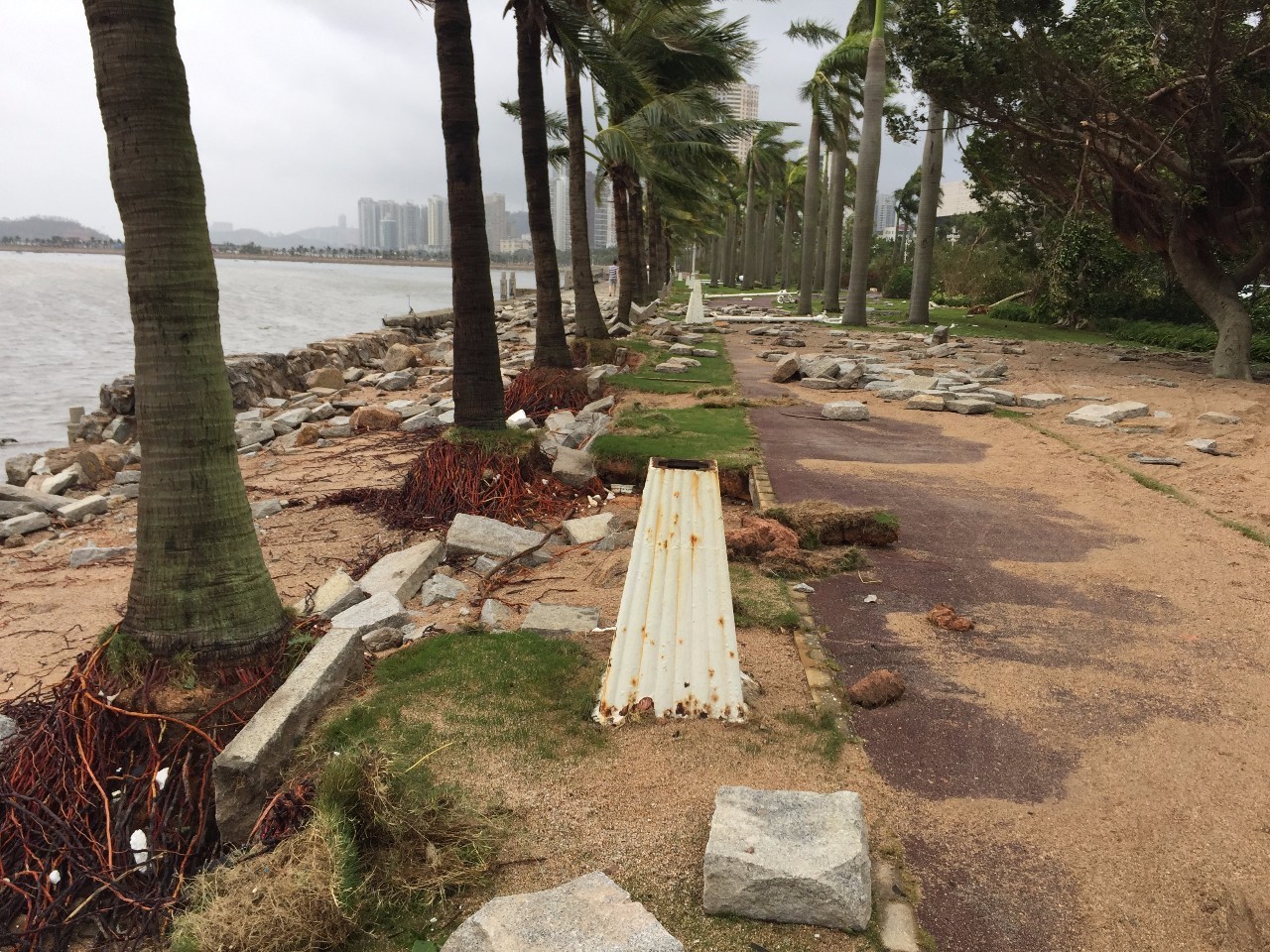 珠海海愉半岛事件图片