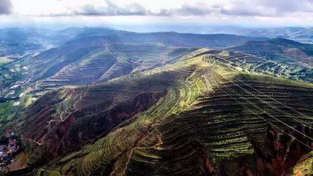 縣城萬壽菊種植基地寧夏固原原州區風力發電廠寧夏平原塞上江南的美