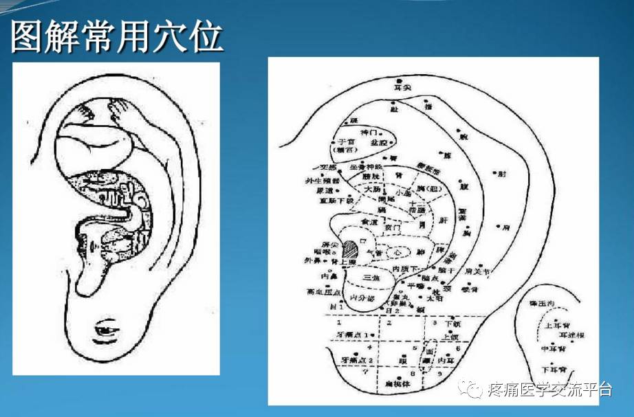 新中醫望診特色診療暨新四診(手診面診眼診耳診)精修班為進一步推廣新