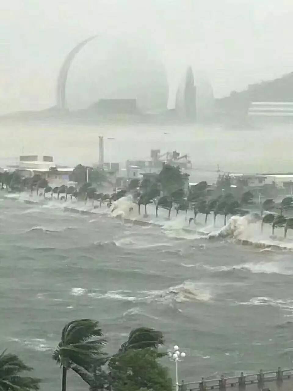 珠海台风天鸽图片