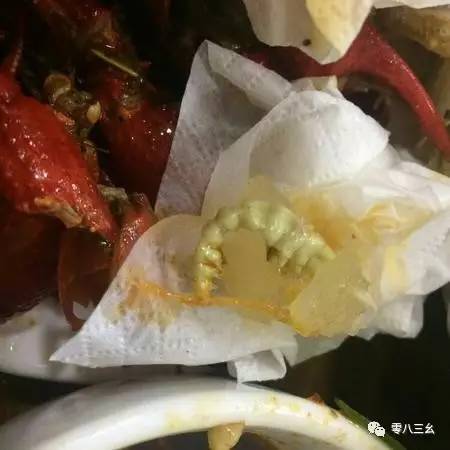 小龙虾吃出寄生虫照片图片