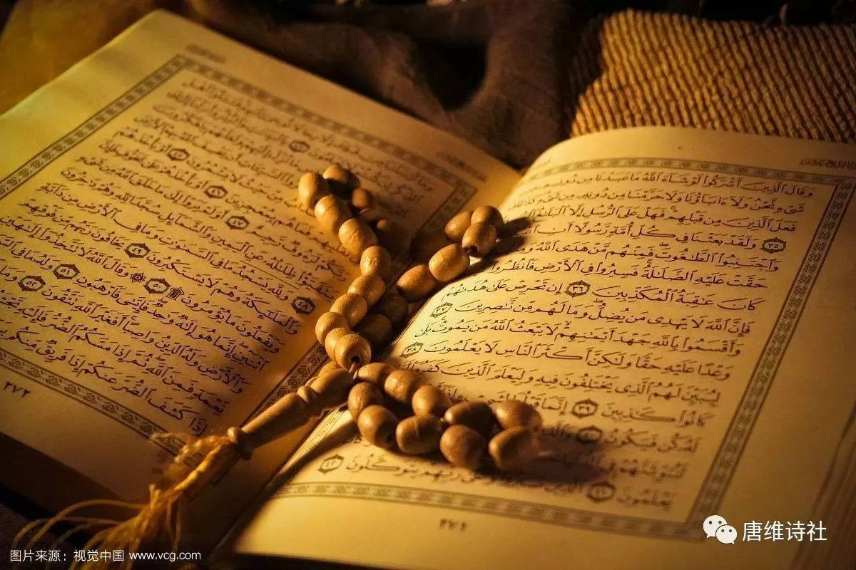 洪烛作品专栏朗诵骆驼运来的古兰经