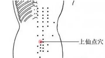 定位方法: 上仙點位於腰骶部下端,第5腰椎正下方凹陷處,取穴時宜採用