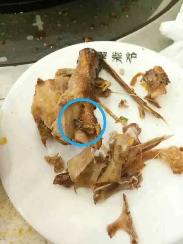 鸭肉里面有寄生虫图片图片