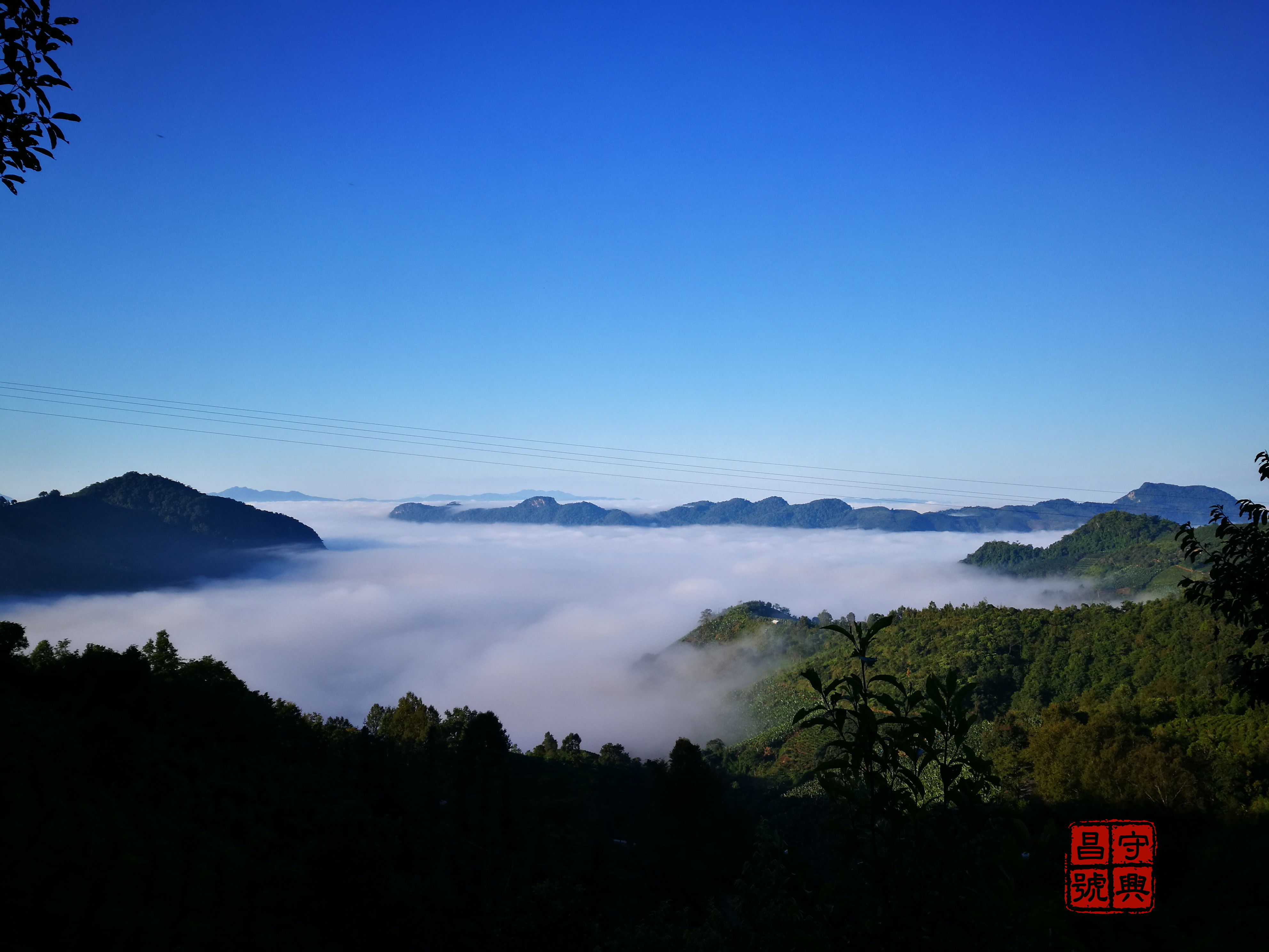 茶人们推崇的古六大茶山,到底是哪六山?茶叶口感如何?