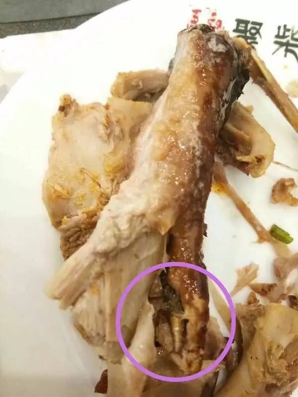 鸭肉里面有寄生虫图片图片