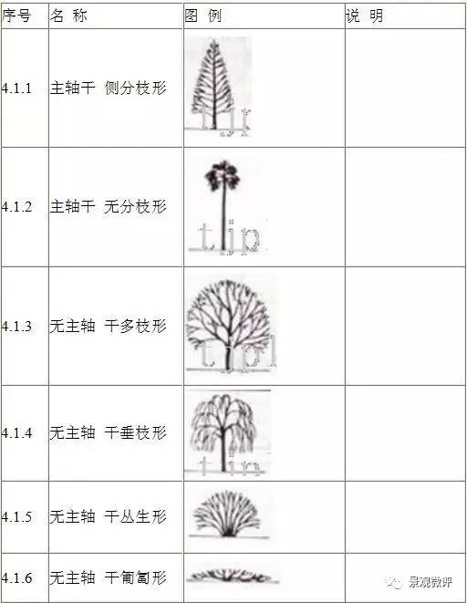 4.2树冠形态end—返回搜狐,查看更多