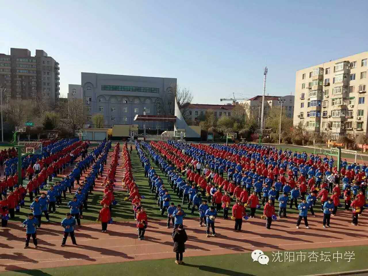 沈阳杏坛中学北校区图片