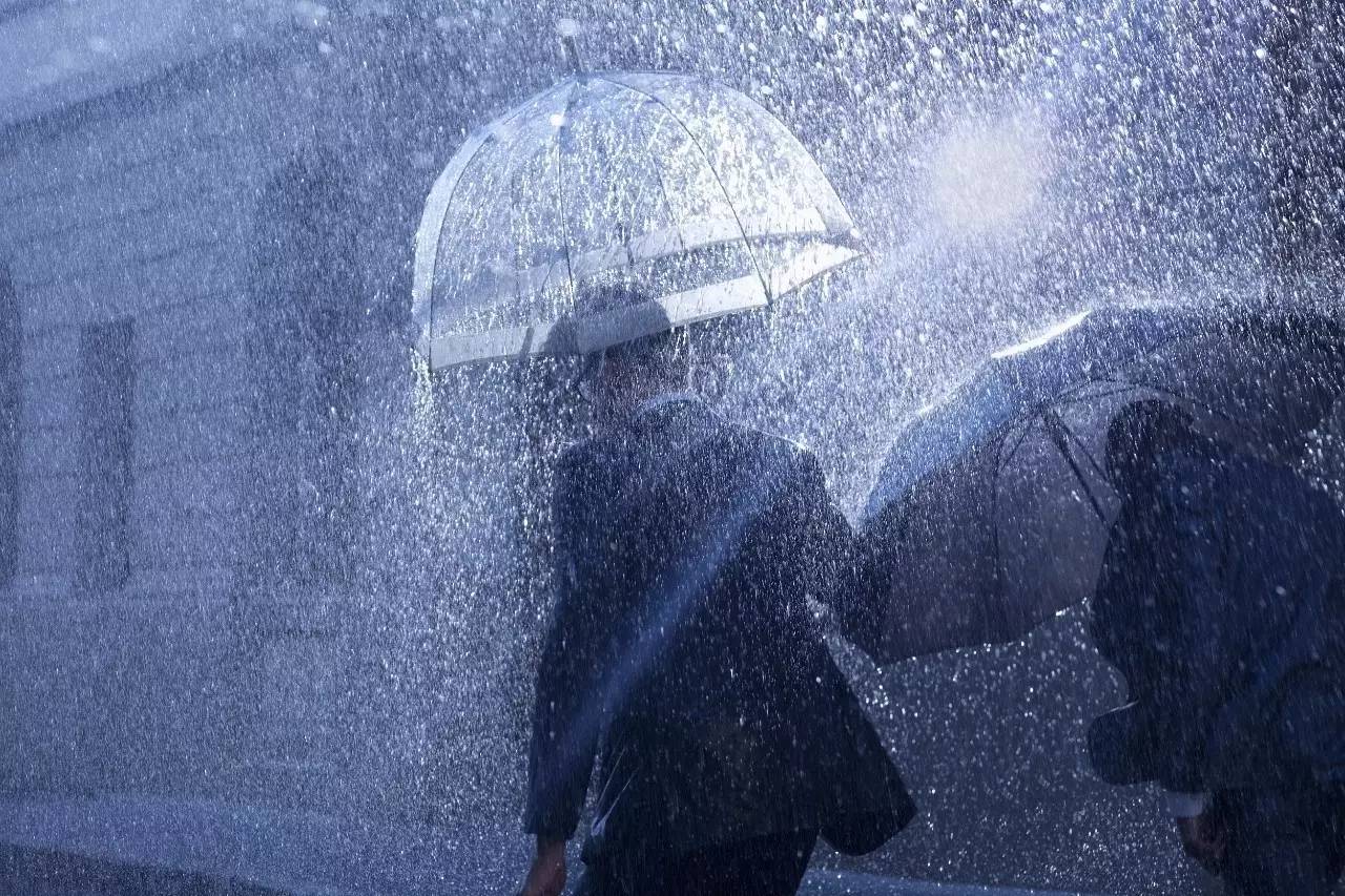 下雨被雨淋湿的图片图片