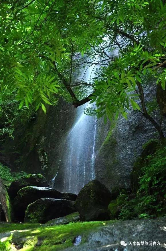 地址:天水市麦积区小陇山林业实验局东岔林场的桃花沟森林公园境内