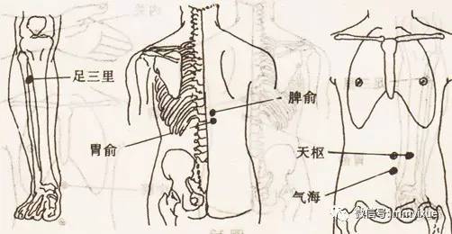 (穴位的位置參考前圖) 施灸穴位:大椎,身柱, 腎俞,足三里.