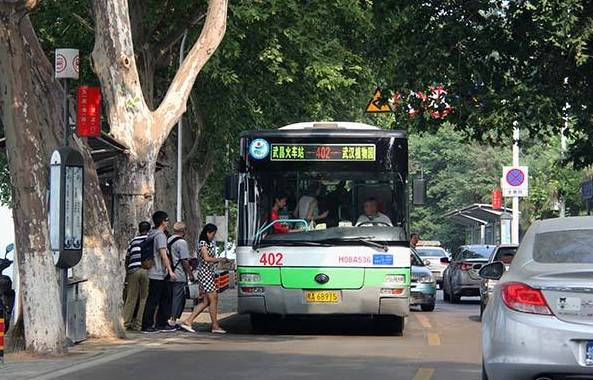 407路,408路內環,408路外環,411路,413路快速公交brt1路水上航線線路