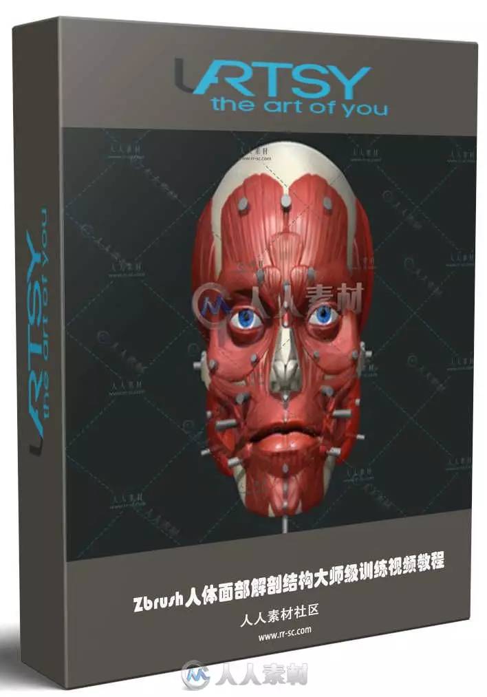 zbrush人體面部解剖結構大師級訓練視頻教程