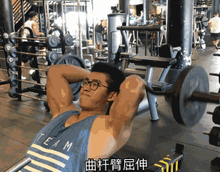 肱三头肌锻炼方法动图图片