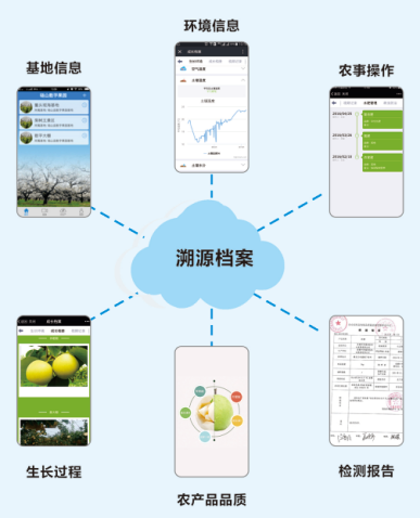 建檔案 農產品質量安全溯源系統賦予農產品