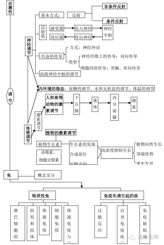 高中生物代谢思维导图图片