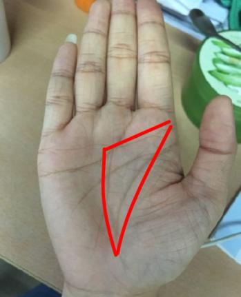 手掌有三角形的女人图片