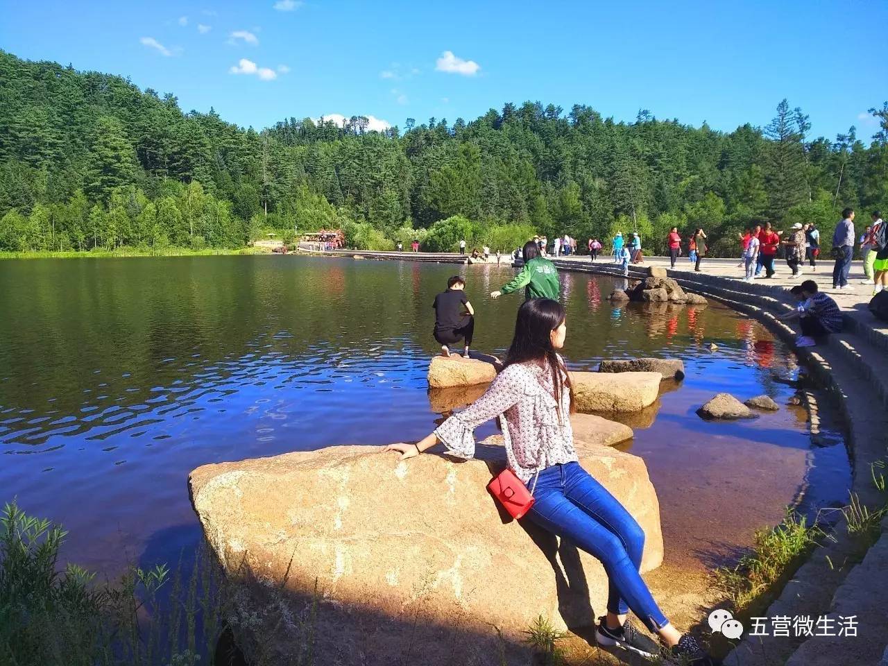 愛在七夕美在五營你的表白五營國家森林公園全程贊助