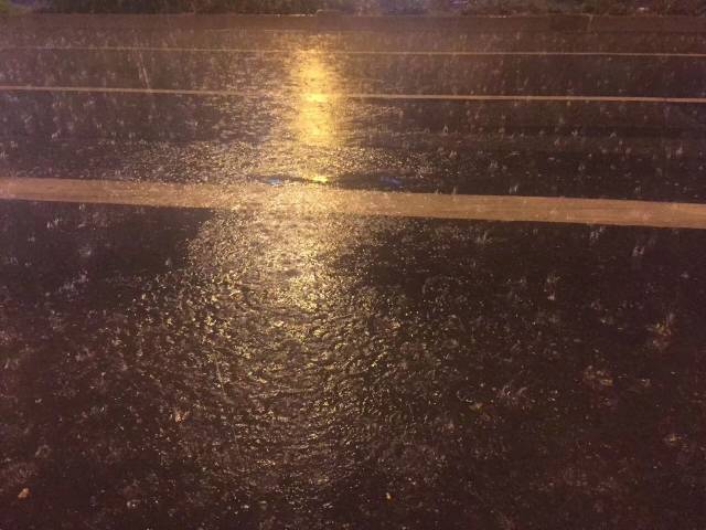 昨天下午16时滨江已经下雨!随后杭州各个城区,该来的还是来了!