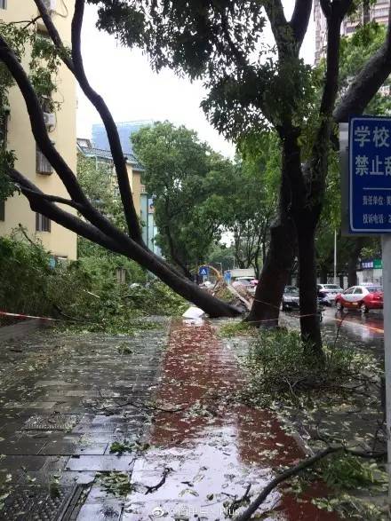 梦见刮大风（梦见刮大风下大雨是什么意思） 梦见刮大风（梦见刮大风下大雨是什么意思） 卜算大全