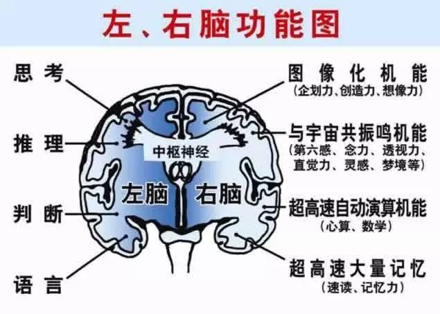 脑动力全国巡讲大连站最后报名机会!提高孩子记忆力就从这里开始!