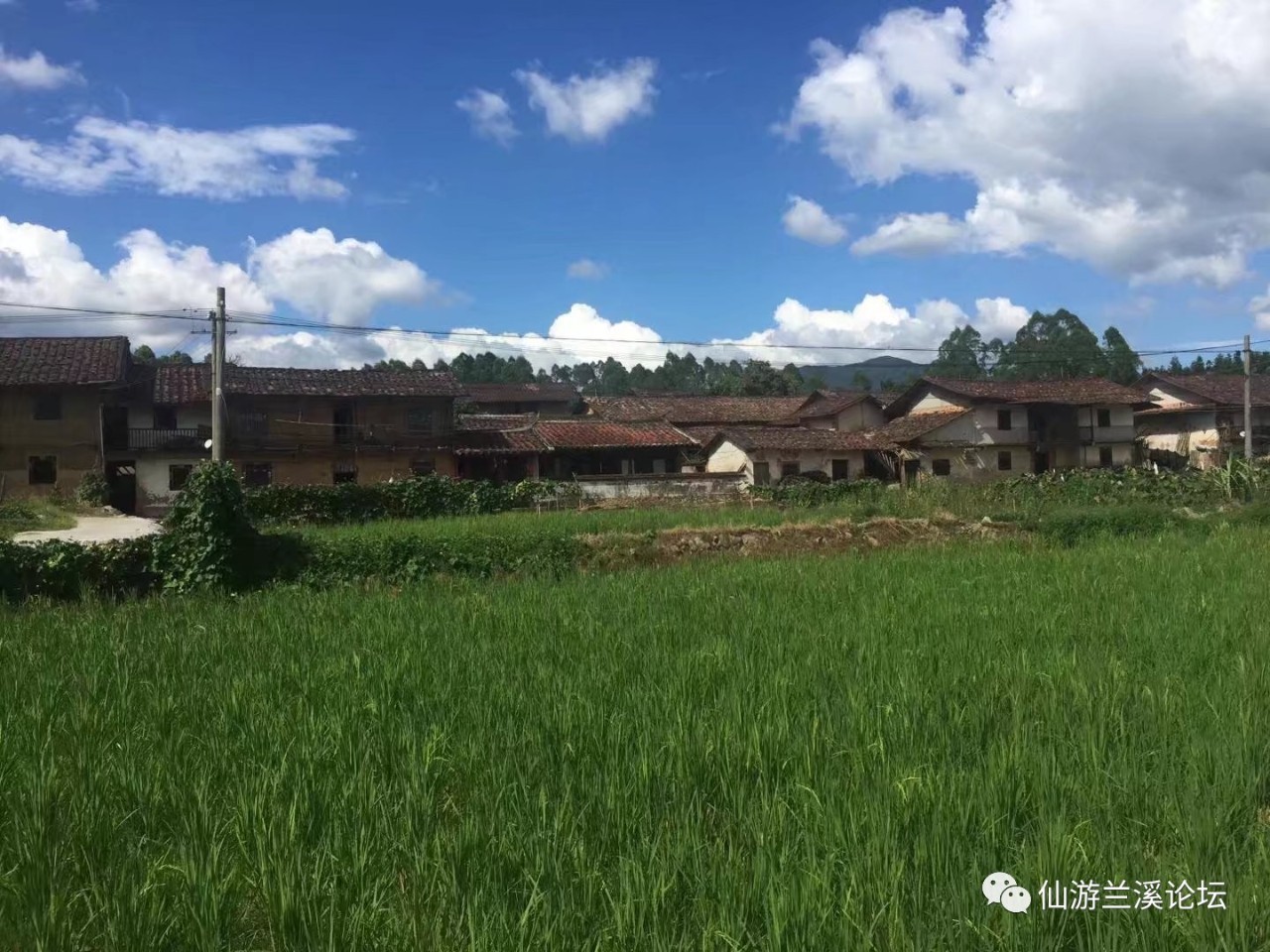 度尾霞溪风景优美明清建筑众多还有郑纪捐资建的寺庙