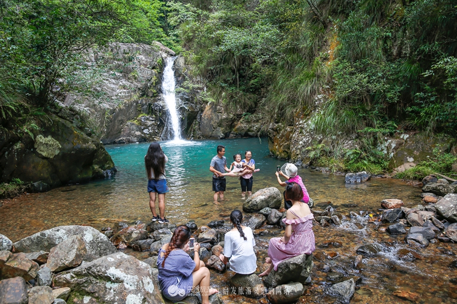 尤溪九阜山迷人的原始亞熱帶雨林