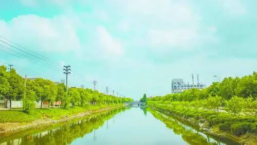 8月底,我市历史上拆迁规模最大和实施难度较大的水利工程 陶家路