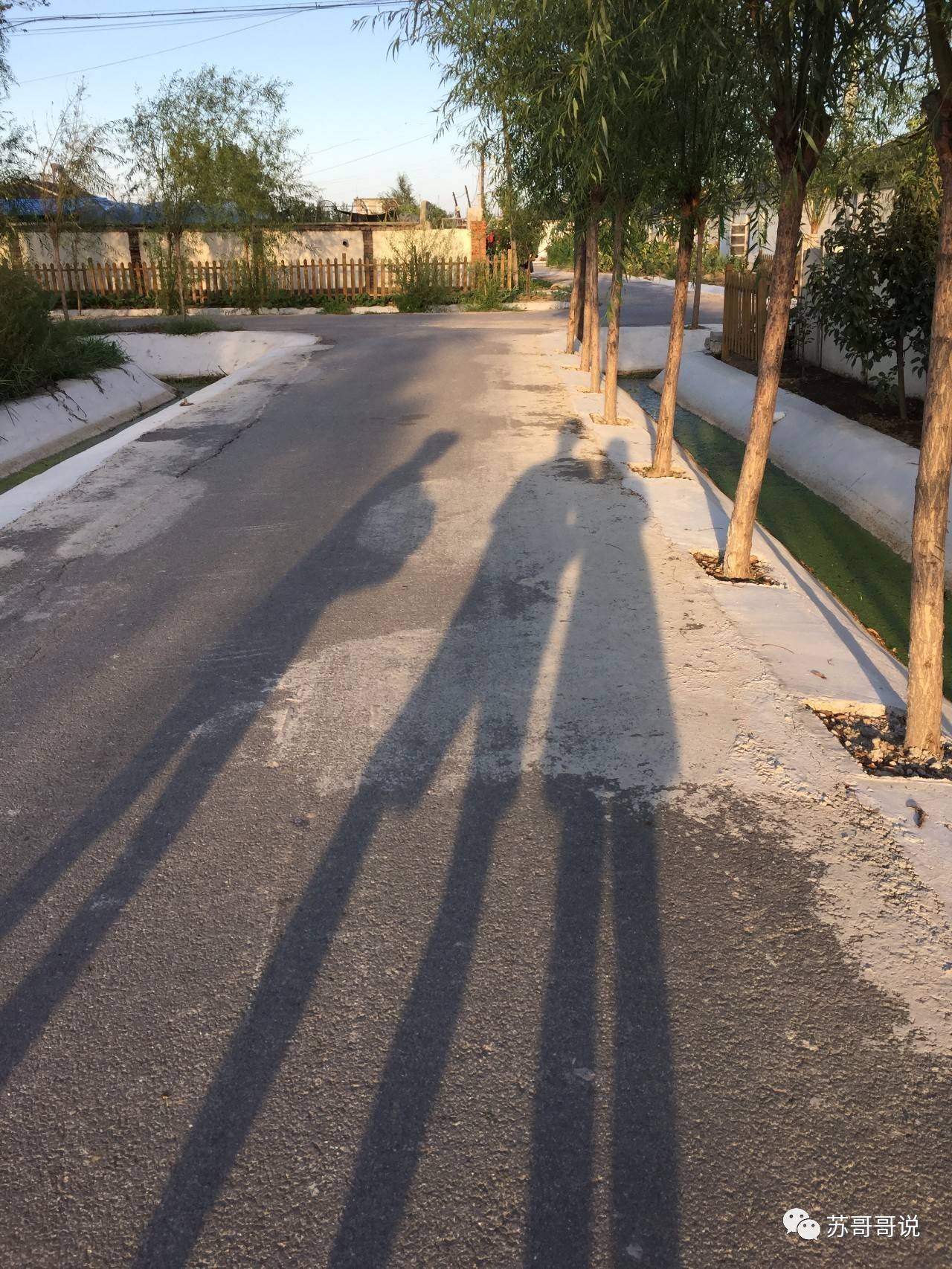 两人散步影子图片图片