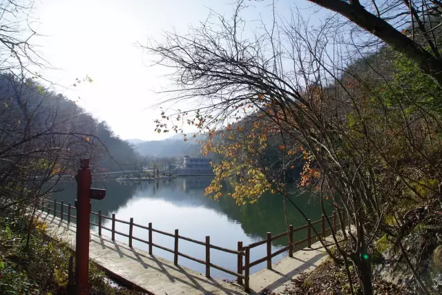 漢水源森林公園位於漢中市寧強縣南部,距縣城12公里,地跨寧強縣的黃壩