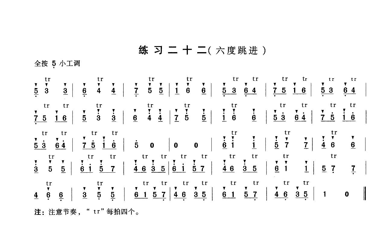 颤音笛子图片