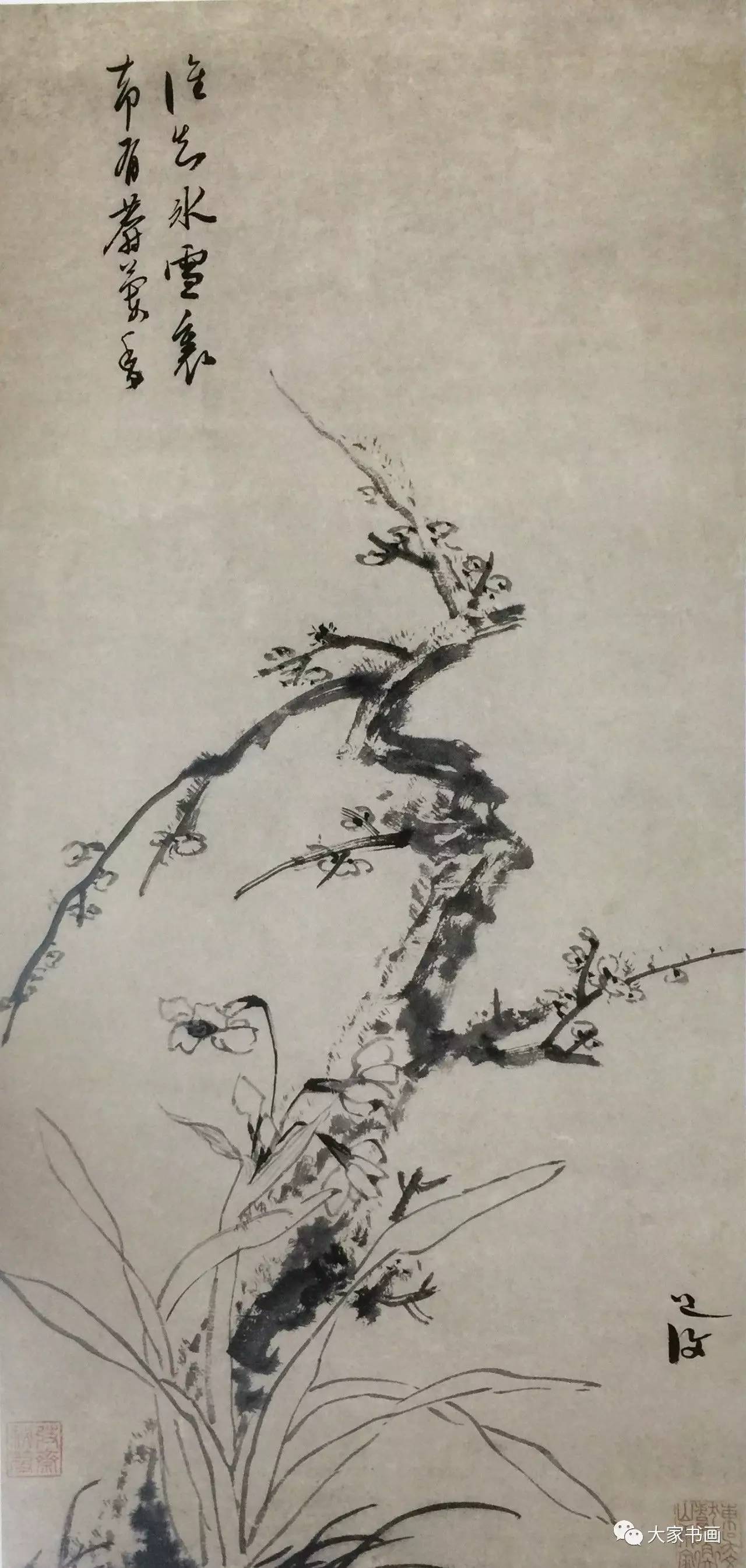 墨中飞将军,花卉豪一世——陈淳精品画作欣赏