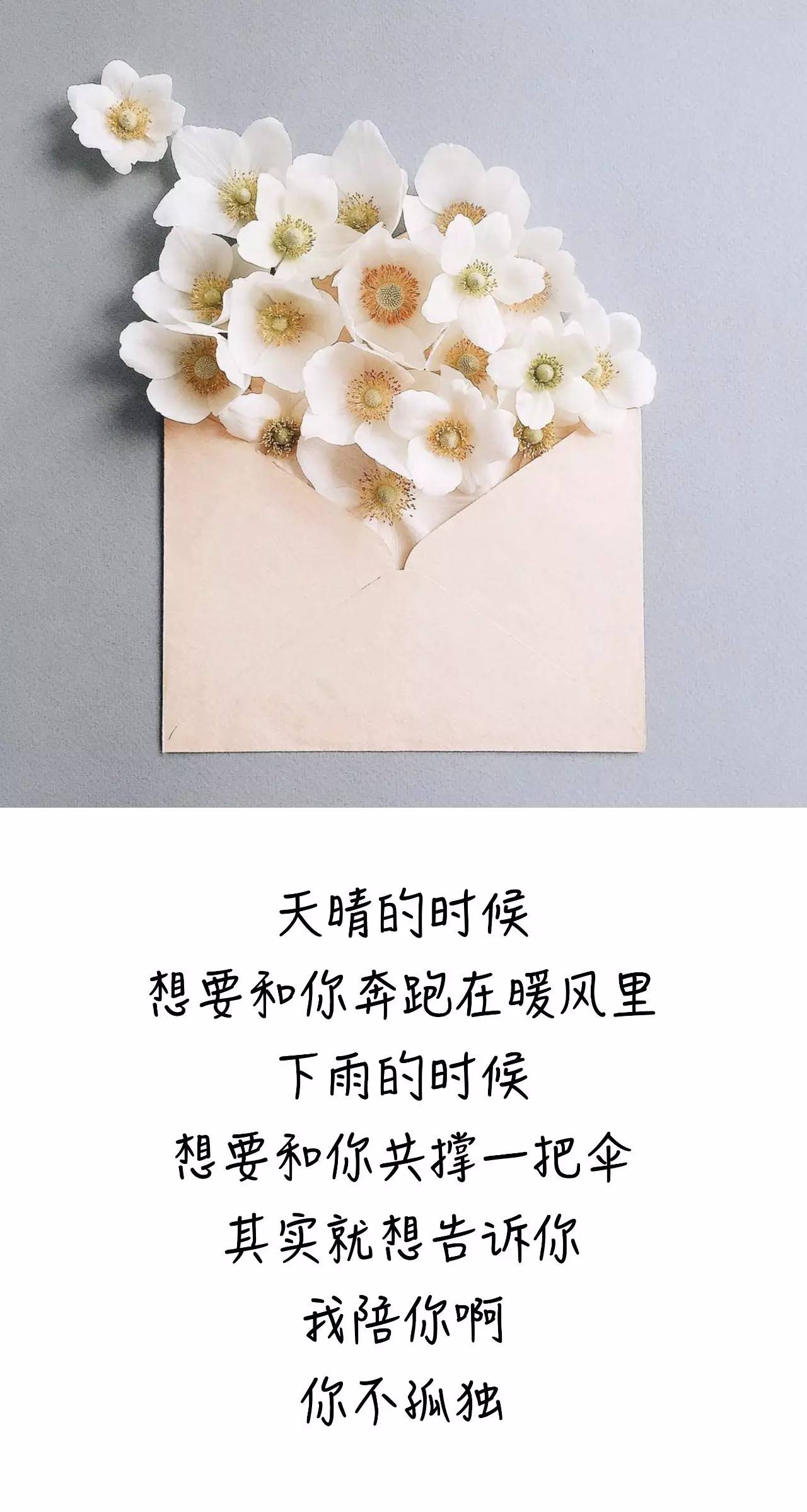 教育 正文 想給你寫一封情書 用老式的牛皮紙 代替