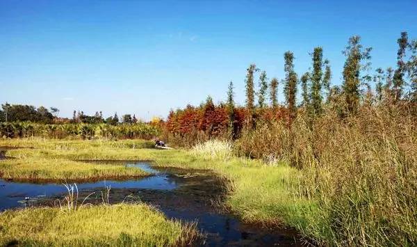 昆明這10個地方絕對完爆所有郊野公園!