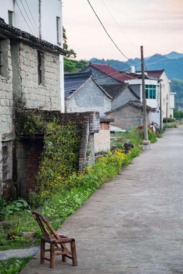 仙居县淡竹乡淡竹村图片