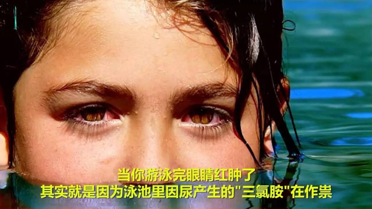 就連美國飛魚邁克爾·菲爾普斯都承認過自己老是在泳池裡尿尿,他還說