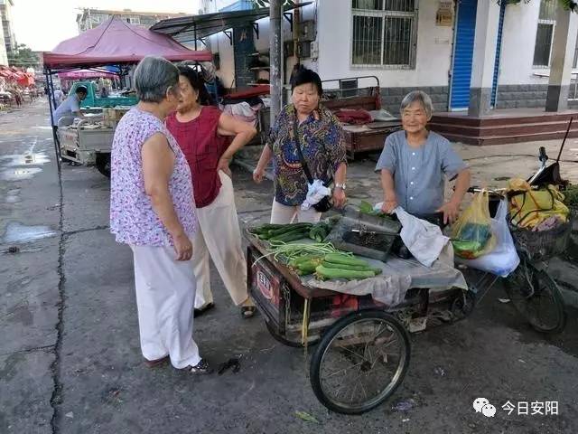 安陽八十歲老奶奶為補貼家用每天街頭賣菜!