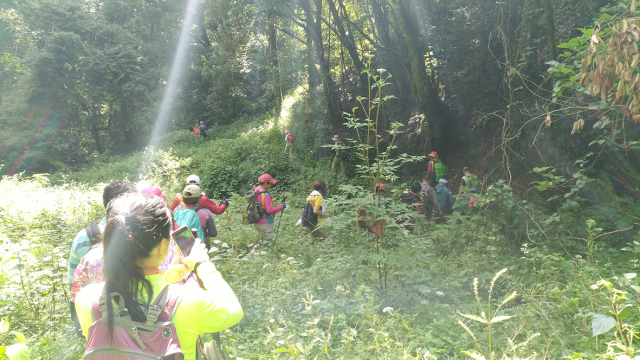 楚雄广通雕翎山原始森林穿越记